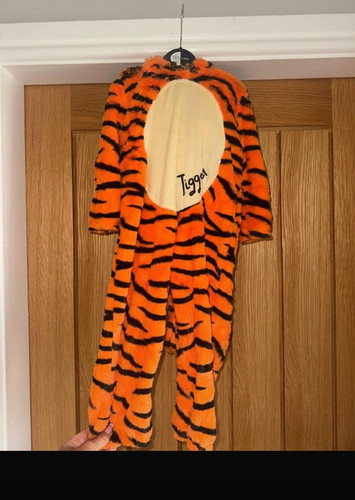 Kids tiger fancy dress costume - tiger,
