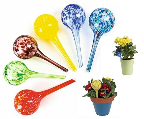 Plant watering spheres - plant,