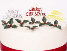 Merry Christmas Cake