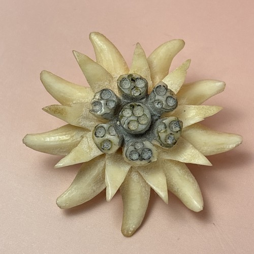 Antique vintage carved - antique,