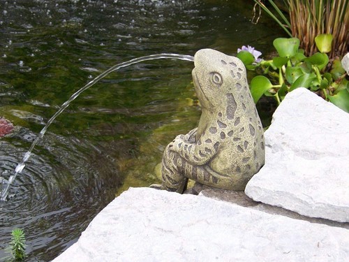 Sitting frog pond spitter - frog,