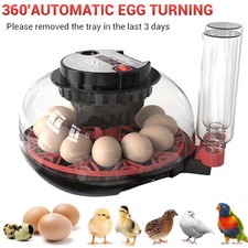12 Egg Incubator for Hatching