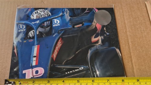 Gasly licensed print mick - licensed,