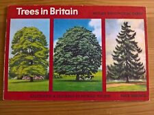 Brooke Bond misprint error album Trees in Britain empty unused chesnut missing t