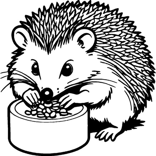 Hedgehog eating from - 'hedgehog,