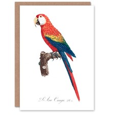 Francois Levaillant Art Card