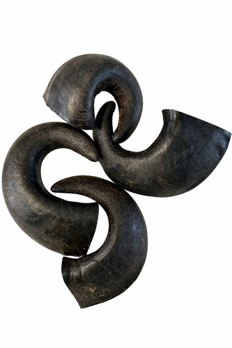 Buffalo horn ultimate - horn,