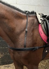 Padded Leather Breastplate