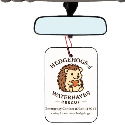 Hedgehogs rectangular air - rectangular,