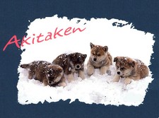 AKITA PUPPIES IN THE SNOW