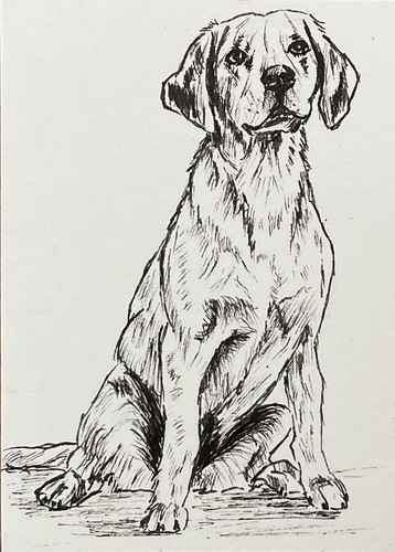 Aceo pen and ink drawing - aceo,