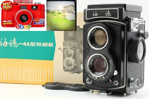 Top mint box seagull - 〖top, in