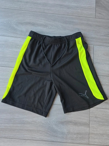 Puma drycell training shorts - puma,