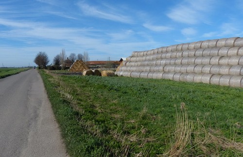 Photo 6x4 bales along outwell - 6x4,