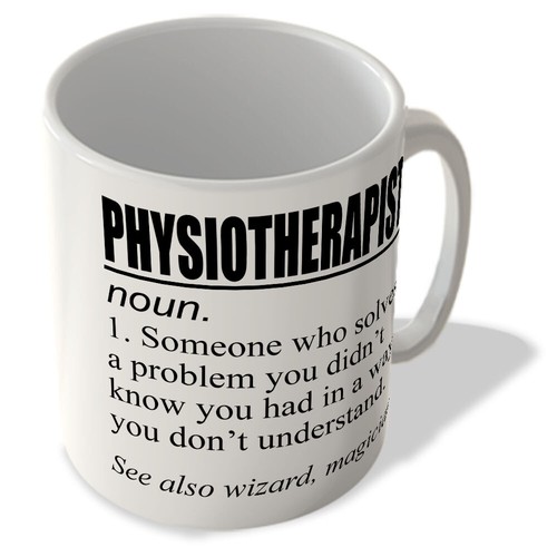 Physiotherapist definition - physiotherapist,