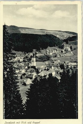 Lenzkirch high black forest - forest, bw