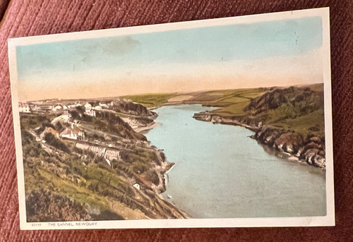 Vintage postcard newquay - vintage,