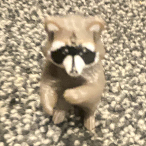 Super cute raccoon animal - super,