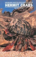 Land Hermit Crabs by Neal