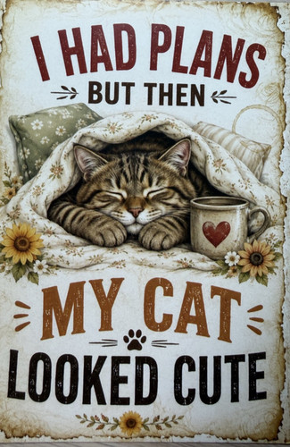 Cat attitude postcard - attitude,