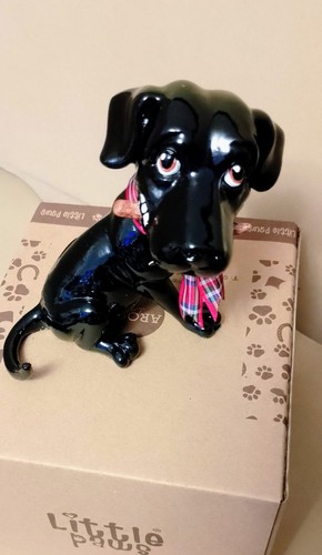 Personalised little paws - little,