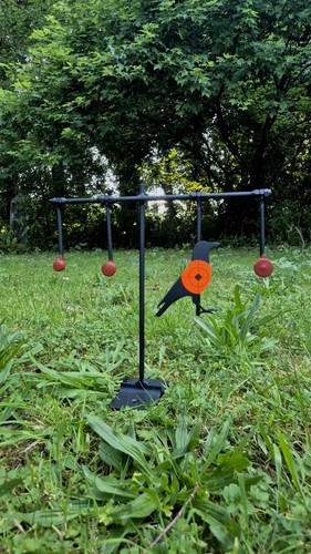 Shooting practice targets - practice,
