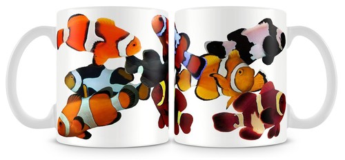 Clown fish mug marine nemo - mug,