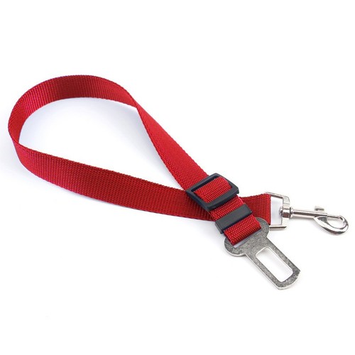 Motorhome dog seat - seat, belt