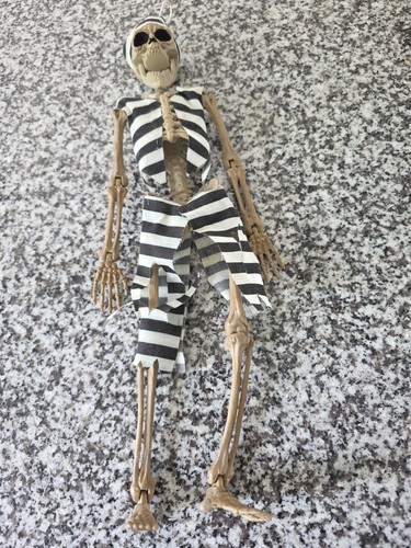 Pirate skeleton halloween - skeleton, halloween/