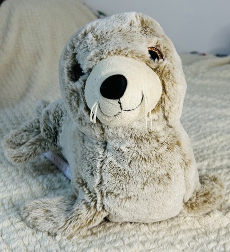 Cute grey seal pup ravensden - cute,