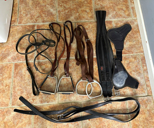 Job lot horse - job,