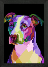 Colorful Pitbull terrier