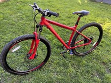 Carrera Sulcata Ltd Edition