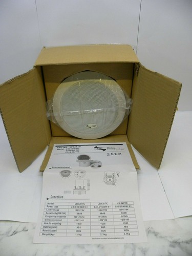 Audio contractor white ceiling - audio,