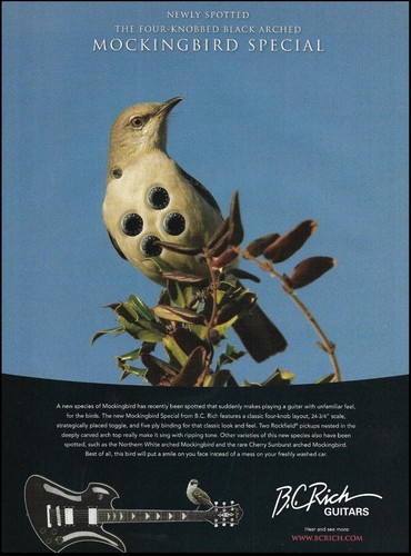 Rich mockingbird special - rich,