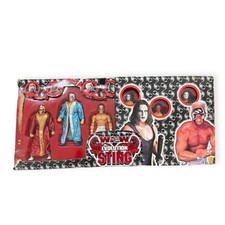 NIB ToyBiz WCW The Evolution