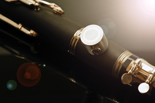 Clarinet pickup microphone - pickup,