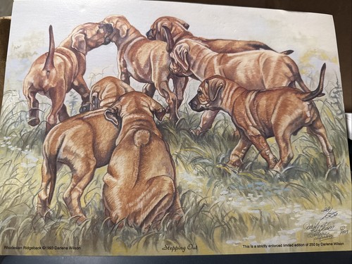 Original paintings darlene - original,