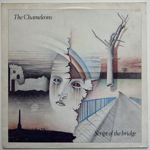 The chameleons script of - :,
