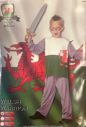 Welsh warrior kids - welsh, costume