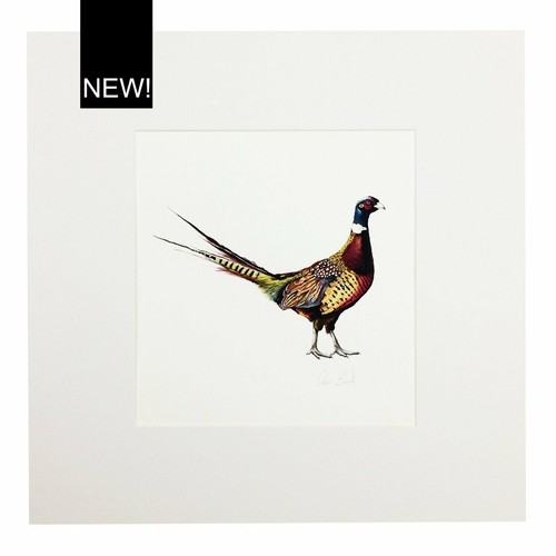 Pheasant art print - print., shooting