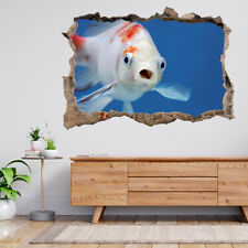A Fish With Open Mouth & Big Eyes 3d Smashed View Wall Sticker Poster Decal A984