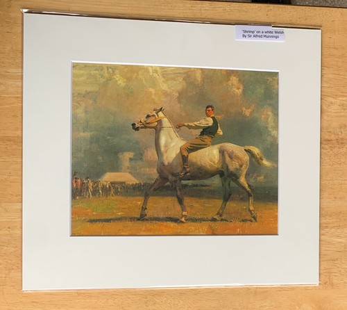 Sir alfred munnings - the, grey