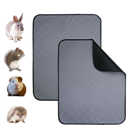 Pack waterproof guinea - guinea, pig