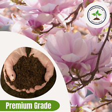 Magnolia Potting/Planting Compost - Peat-Based Ericaceous PH 4 - 4.5 Acid-Loving