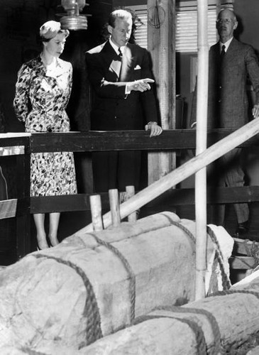Queen elizabeth first - queen,