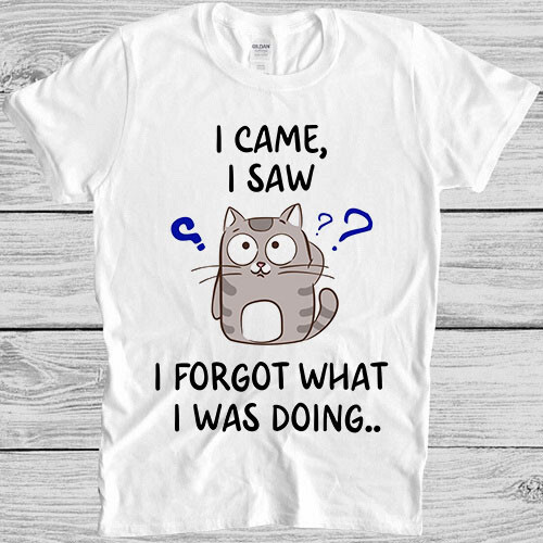 Came saw forgot what - what, i