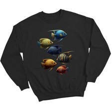 Saltwater angelfish marine - angelfish,