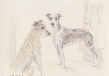 Lurcher Limited Edition Art