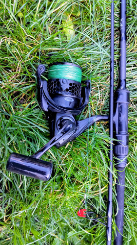 Wychwood riot pike zander - wychwood, pike/zander